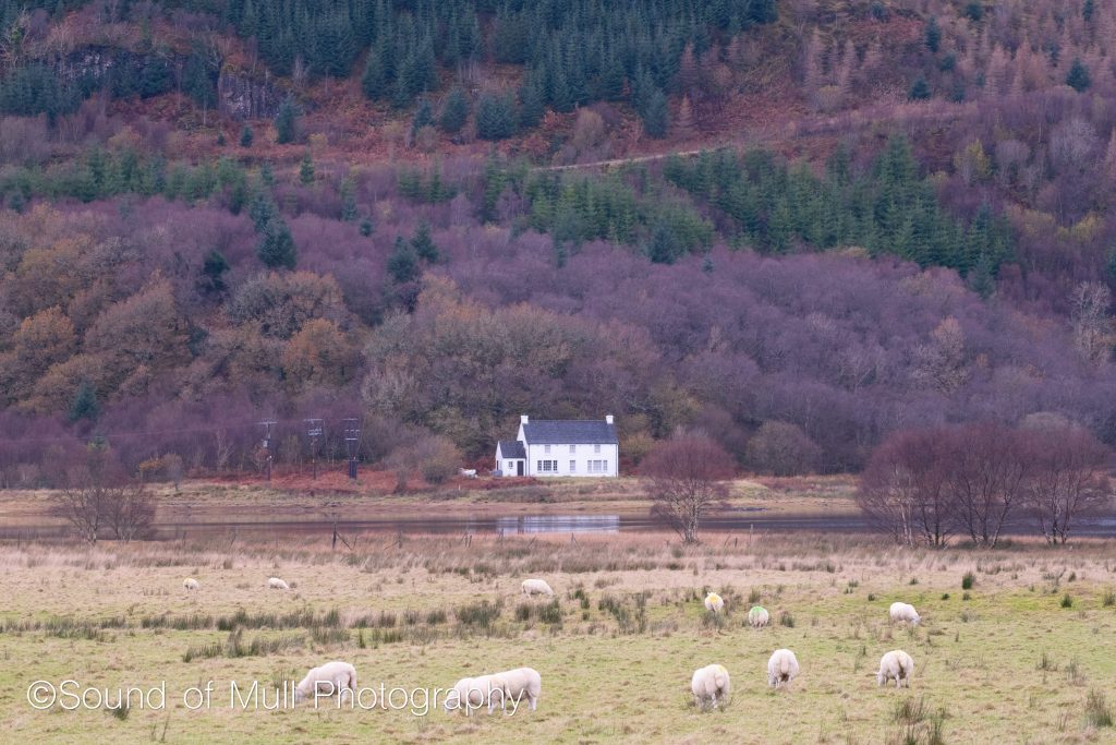 House on Loch Teacuis