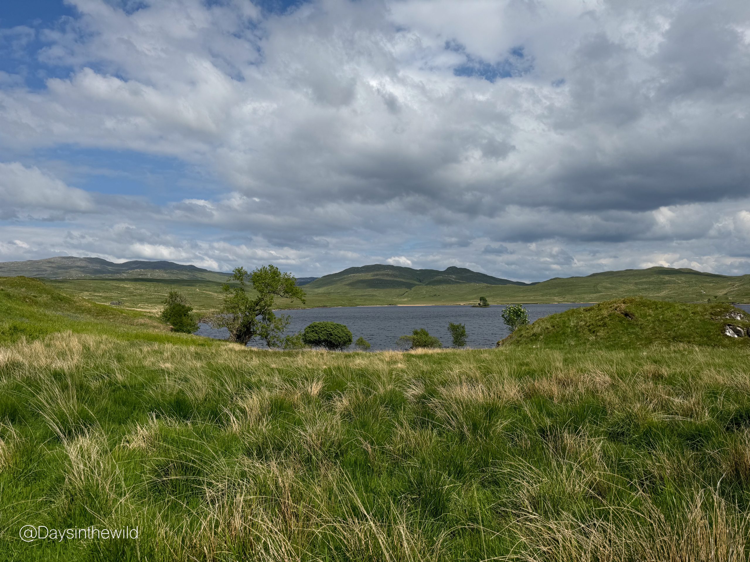 Read more about the article Loch Tearnait